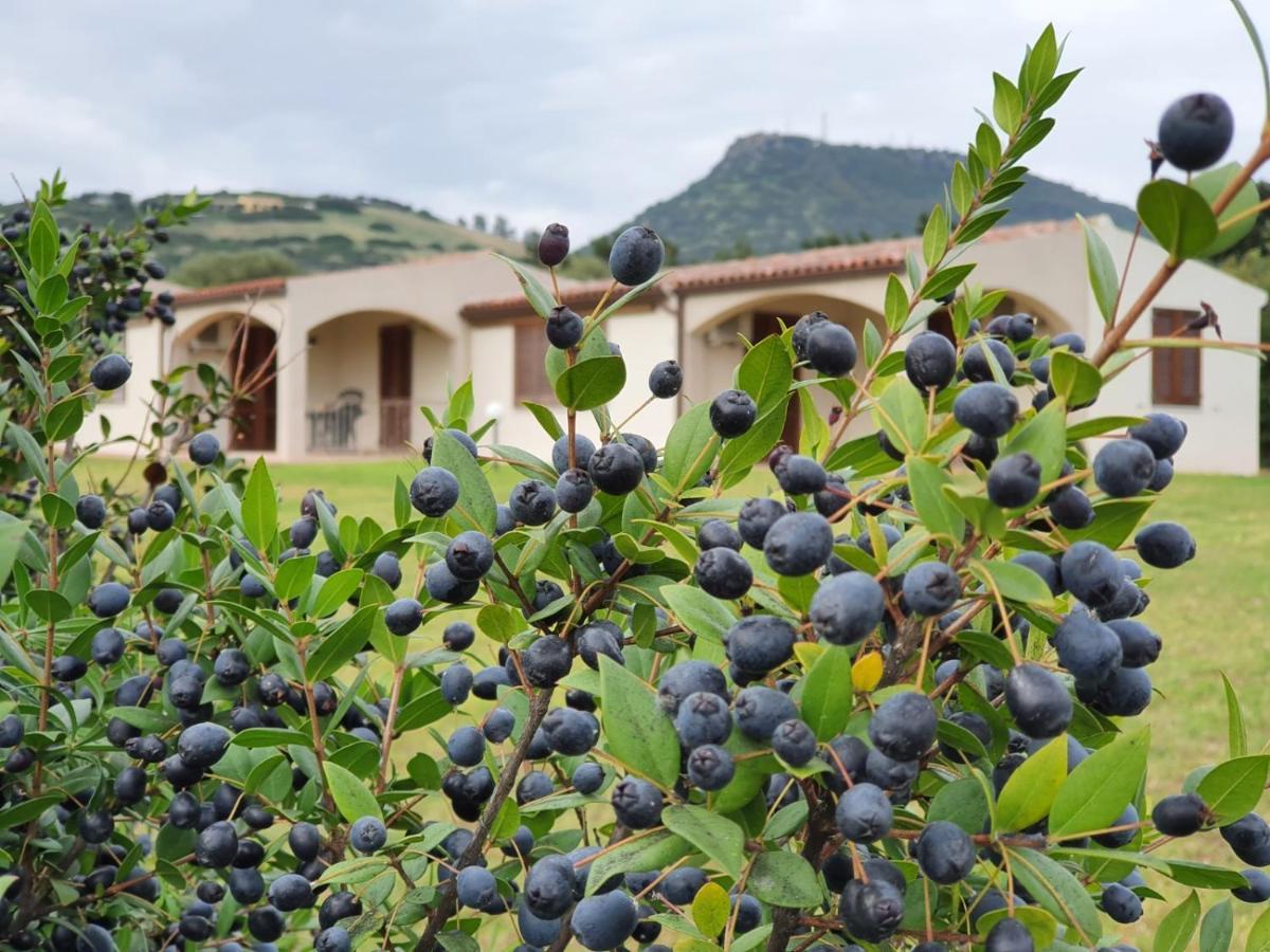 Apartamento La Casa Di Spinosella Valledoria  Exterior foto